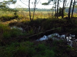 Hrdlořezy