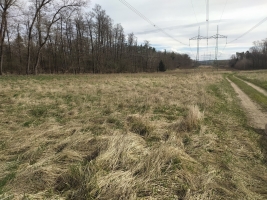 Kosteliska