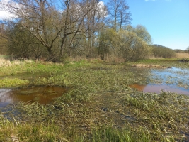 Mnišské louky-tůně